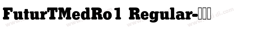 FuturTMedRo1 Regular字体转换 FuturTMedRo1 Regular字体转换